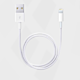 Apple Lightning Cable Replacement