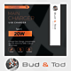Type C 20W Fast Charger